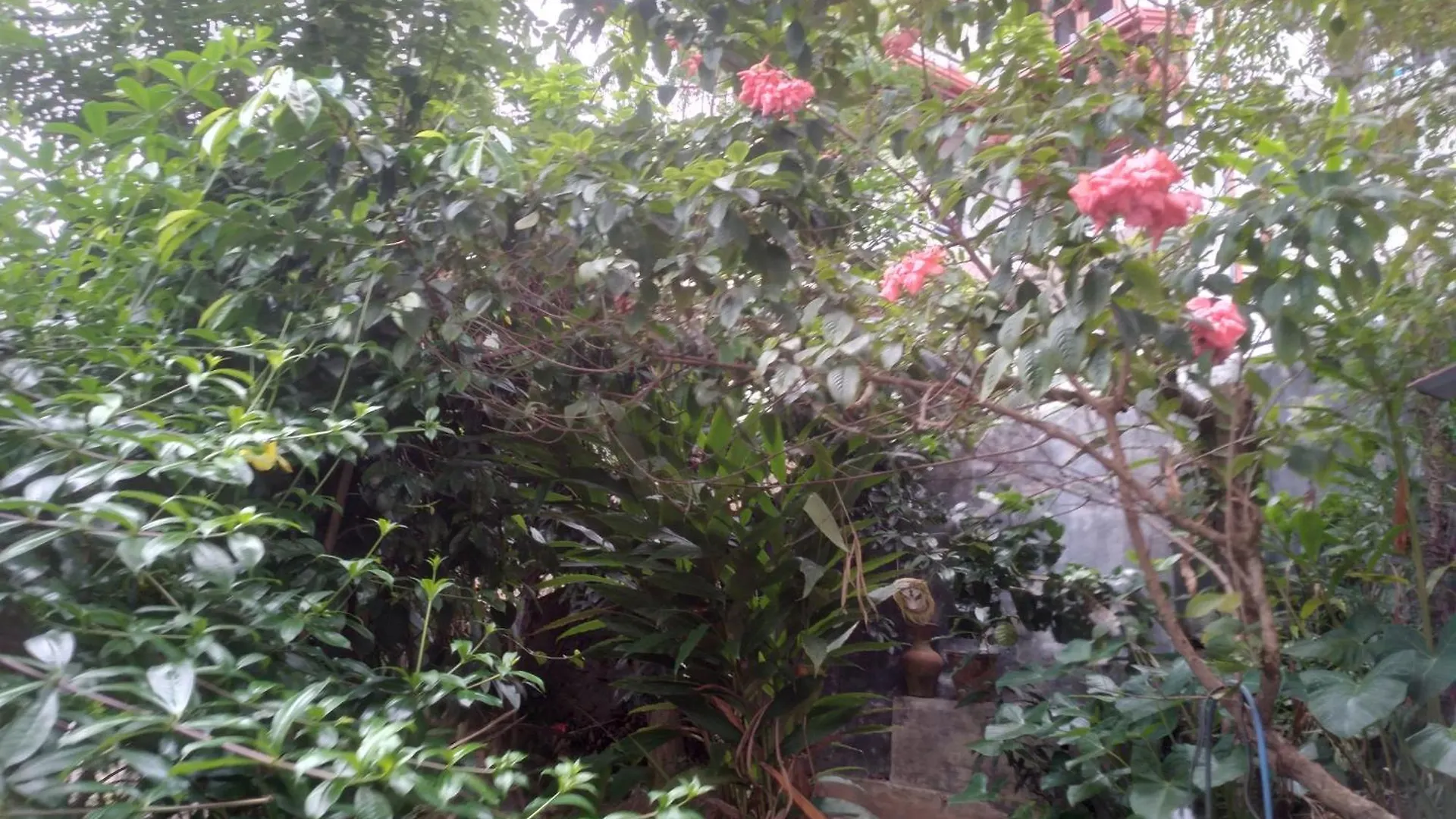 Homestay Riverview Guest Kandy